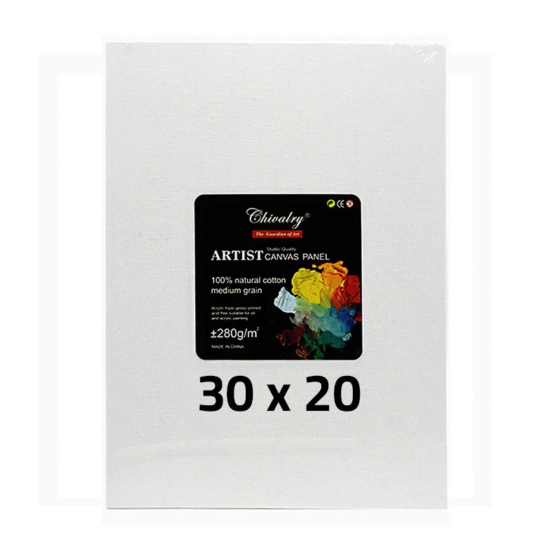 Canvas Panel  Cardboard 280 gsm 1 Pcs Size 30 x 20 cm