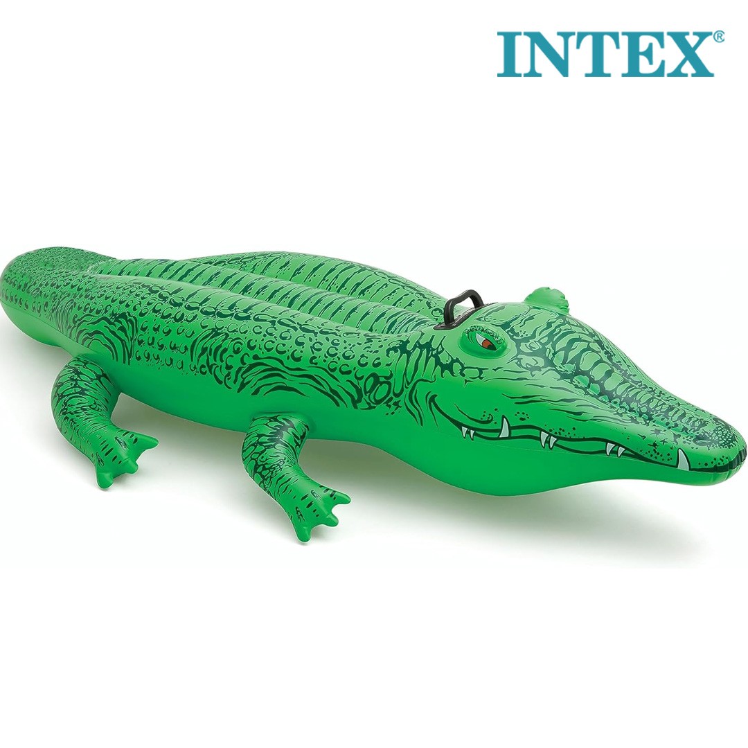 INTEX Inflatable Floating Crocodile (58546)