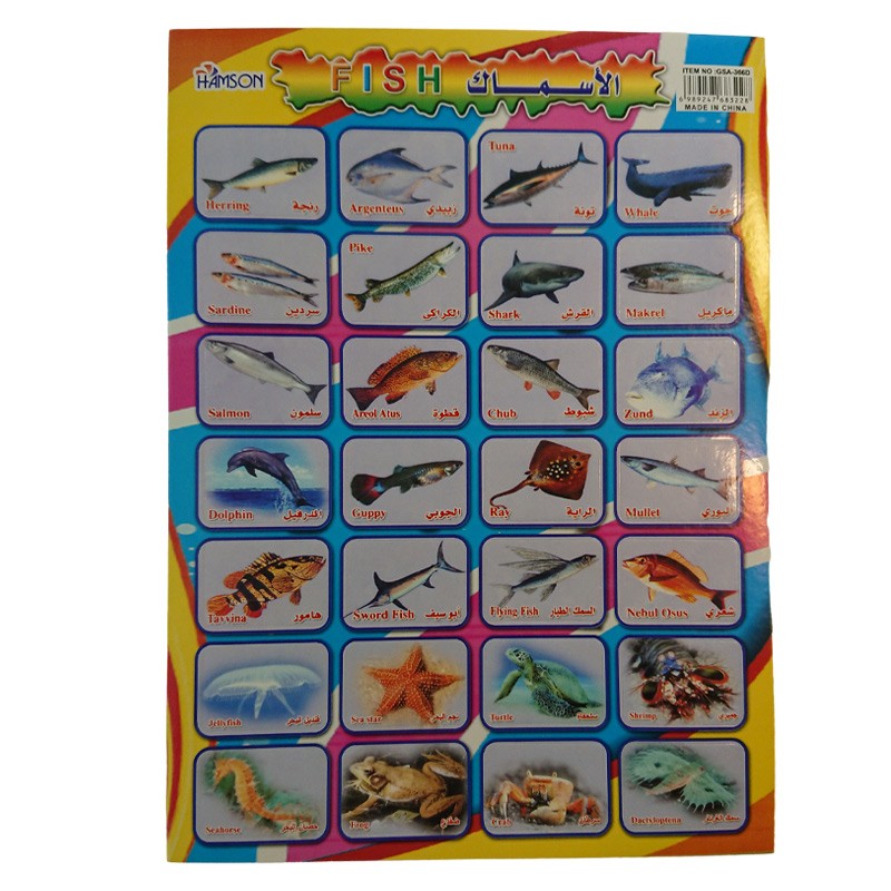 Educational Stickers The Fishes Names