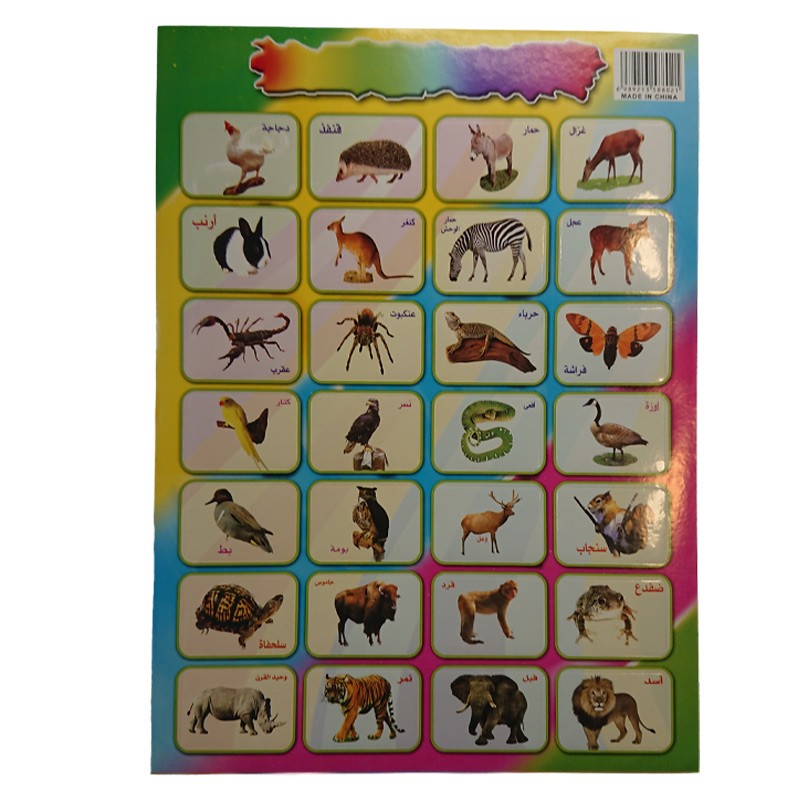 Educational Stickers Animal Names &  Shapes