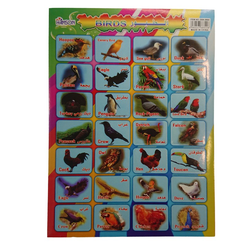 Educational Stickers Birds Names & Shapes